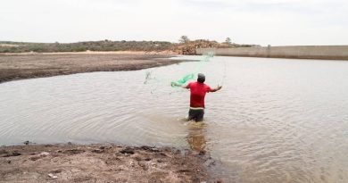 Esperanza en plena sequía: sí habrá lluvia