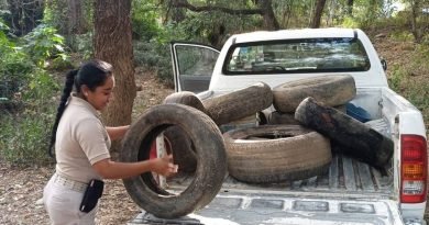 Tiene Querétaro 20 casos positivos de dengue