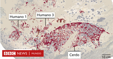 El fascinante hallazgo de las pinturas rupestres más antiguas del mundo - BBC News Mundo