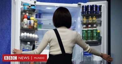 El sencillo método japonés para organizar mejor tu refrigerador y reducir el desperdicio de comida - BBC News Mundo