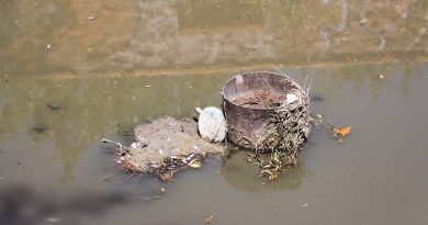 Hay tres casos de dengue graves en el estado