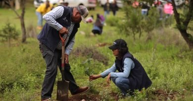 Inicia programa de reforestación en Mineral de San Joaquín