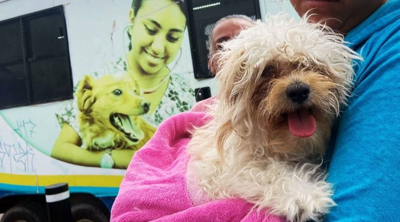 Lanzan campaña de esterilización de mascotas en Paseos del Marqués