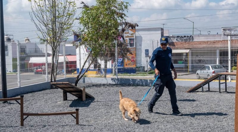 Promueven una tenencia responsable de mascotas, en El Marqués