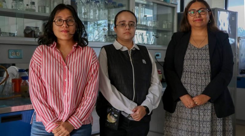 Sustituyen la leche con bebida de frijol