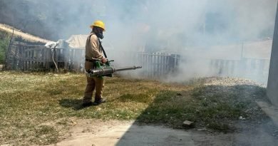 Van 67 casos positivos de dengue en Querétaro