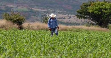 Beneficiarán a 15 mil productores de los sectores agroalimentario, rural y forestal