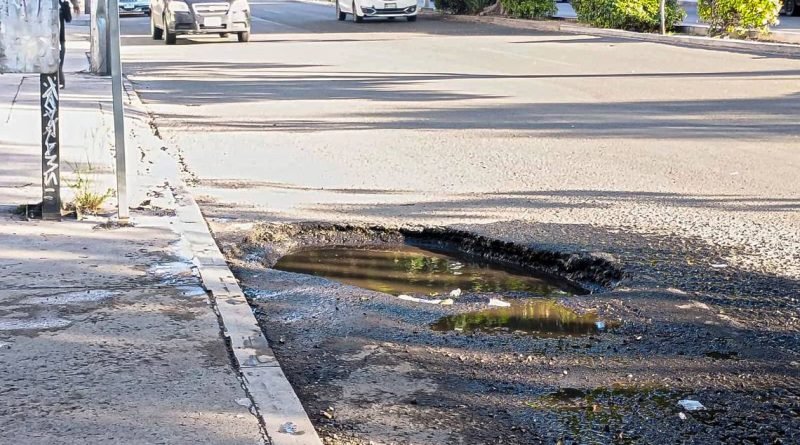 Florecen baches en las calles