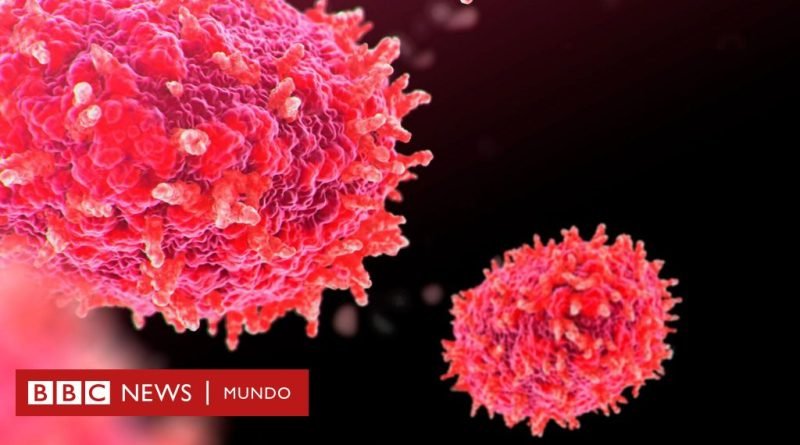 Mpox: cuán grave es el brote actual y otras 4 preguntas sobre la enfermedad que ha forzado a la OMS a declarar una “emergencia sanitaria internacional” - BBC News Mundo