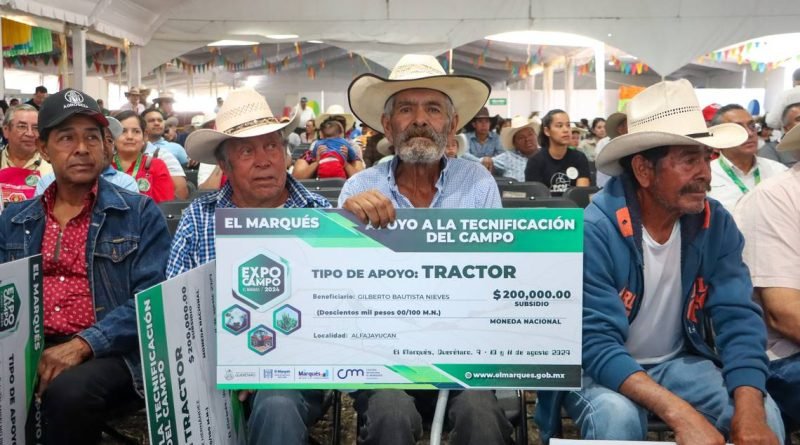 Productores de El Marqués pierden 50% de su siembra