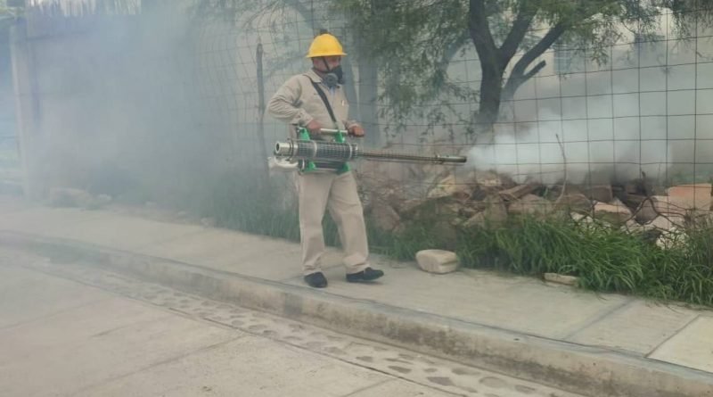Surge brote de dengue en Querétaro capital