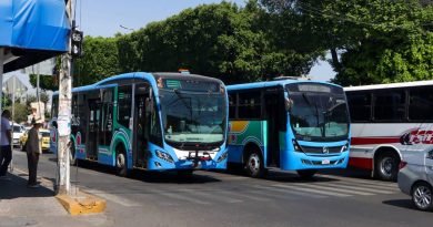 Van 200 accidentes de Qrobús en lo que va del año