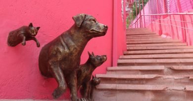 Viven La Cañada y Hércules un “boom”
