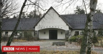 Nazismo: la enorme y costosa casa de campo de Joseph Goebbels a las afueras de Berlín que las autoridades decidieron regalar porque nadie la quiere - BBC News Mundo