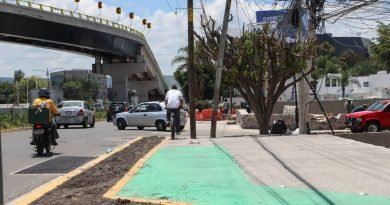 Solo el 20% de las ciclovías de Paseo 5F cumplen con la pirámide de movilidad