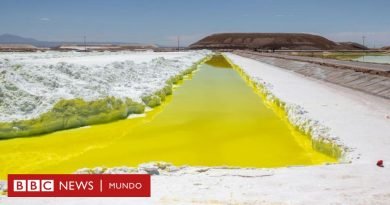 Litio: la estrepitosa caída del precio de este mineral clave y qué efectos tiene en América Latina - BBC News Mundo