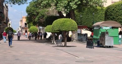 Van 5 asaltos de casas en el Centro Histórico