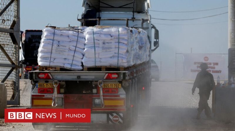 Israel - Hamás: los delincuentes que roban la ayuda humanitaria destinada a la población de Gaza a plena vista del ejército israelí  - BBC News Mundo