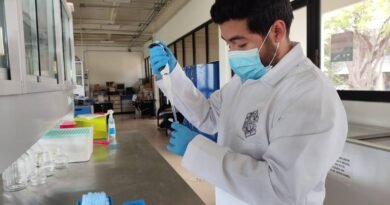 Lanzan convocatoria para investigación de la diabetes