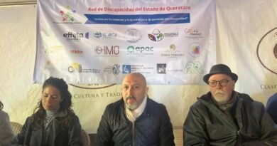 Marcharán por los derechos de las personas con discapacidad