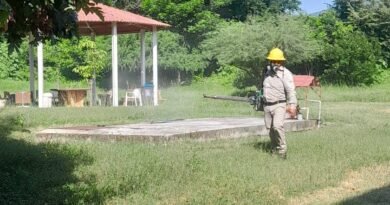 Persisten casos de dengue en Querétaro