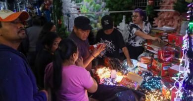 Tianguis navideño llega el 1 de diciembre a La Cruz