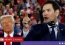 Trump y Marco Rubio: quién es el hijo de migrantes cubanos nombrado secretario de Estado que será el latino con el cargo más importante en la historia de EE.UU. - BBC News Mundo