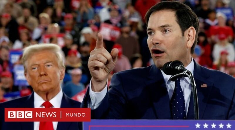 Trump y Marco Rubio: quién es el hijo de migrantes cubanos nombrado secretario de Estado que será el latino con el cargo más importante en la historia de EE.UU. - BBC News Mundo