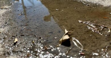 Contagio de dengue ha sido comunitario