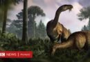 Dinosaurios: qué revelan sus heces y vómitos fosilizado sobre su dominio en la Tierra y el cambio climático - BBC News Mundo