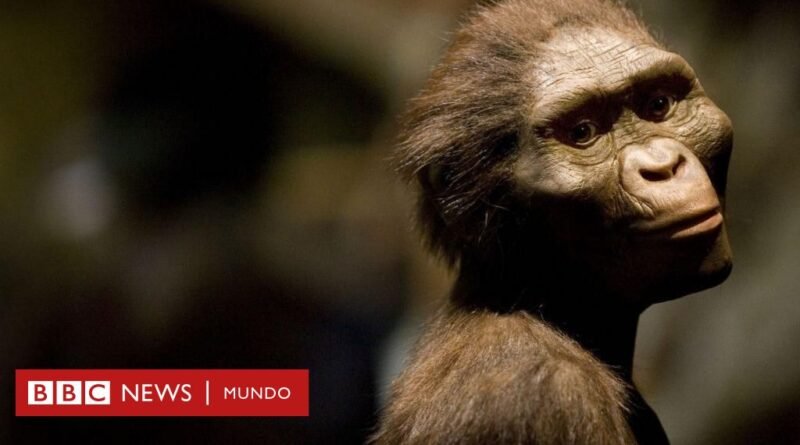 Evolución: cómo era y vivía Lucy, el fósil descubierto hace 50 años que reescribió la historia de la humanidad - BBC News Mundo