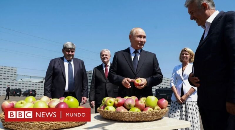 Garbanzos a cambio de papas: las empresas de Rusia que vuelven a usar el trueque para esquivar las sanciones por la guerra de Ucrania - BBC News Mundo