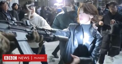 Ley marcial en Corea del Sur: la mujer que le agarró el arma a un soldado en Corea del Sur y se convirtió en símbolo del rechazo a la ley marcial - BBC News Mundo