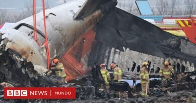 Qué se sabe del accidente del avión en Corea del Sur en el que murieron 179 personas - BBC News Mundo