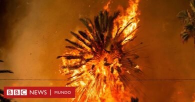 5 imágenes que explican la rápida propagación de los incendios en Los Ángeles - BBC News Mundo