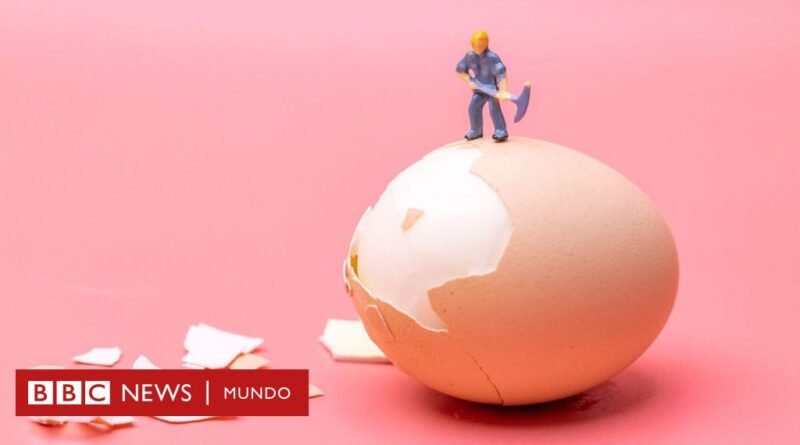 Esta es la forma perfecta de hervir un huevo, según la ciencia - BBC News Mundo