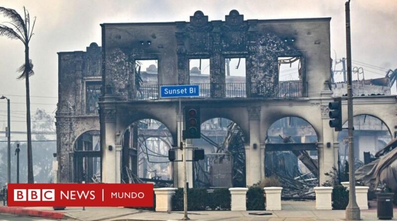 Pacific Palisades, el exclusivo barrio en el que viven numerosas estrellas de Hollywood arrasado por los incendios en Los Ángeles - BBC News Mundo