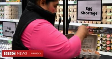 Por qué se ha disparado el precio de los huevos en EE.UU. y hasta los supermercados racionan su compra - BBC News Mundo