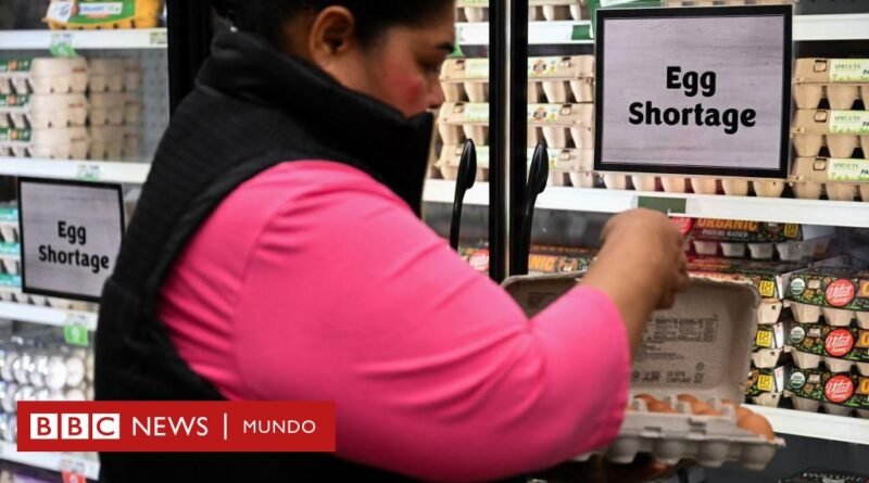 Por qué se ha disparado el precio de los huevos en EE.UU. y hasta los supermercados racionan su compra - BBC News Mundo