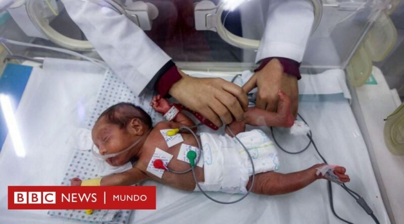 Seis bebés mueren de hipotermia en Gaza por las bajas temperaturas y la falta de refugio - BBC News Mundo