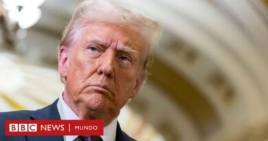 Trump recibe una sentencia sin pena por el caso del pago a Stormy Daniels y se convierte en el primer presidente de EE.UU. convicto - BBC News Mundo