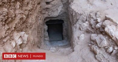 Tutmosis II: encuentran la primera tumba de un faraón en Egipto desde el hallazgo de  Tutankamón hace más de 100 años - BBC News Mundo
