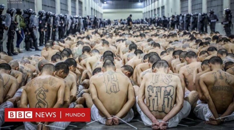 ¿Puede realmente Estados Unidos enviar a sus ciudadanos convictos a la megacárcel de Bukele en El Salvador? - BBC News Mundo