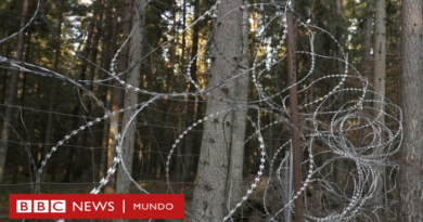 Bialowieza, el bosque en el que centenares de inmigrantes arriesgan sus vidas para tratar de ingresar a Europa - BBC News Mundo