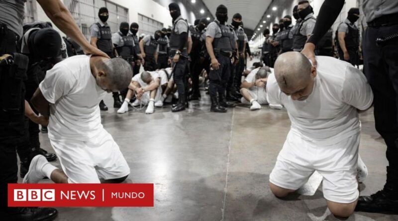 Cómo es el Cecot, la megacárcel en la que Bukele encerró a los cientos de venezolanos que el gobierno de Trump deportó a El Salvador desde Estados Unidos - BBC News Mundo