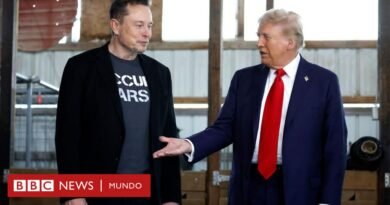 La agitada reunión que cambió el papel de Elon Musk dentro del gobierno de Donald Trump  - BBC News Mundo