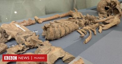 Las mordeduras halladas en un esqueleto que demuestran los combates de gladiadores contra leones - BBC News Mundo
