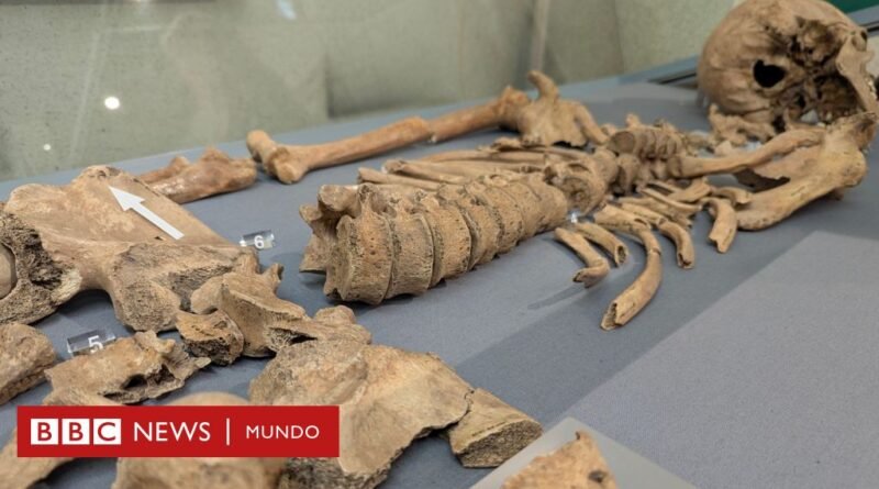 Las mordeduras halladas en un esqueleto que demuestran los combates de gladiadores contra leones - BBC News Mundo