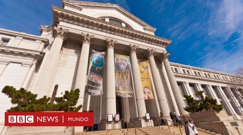 Trump ordena purgar los museos Smithsonian de ideología