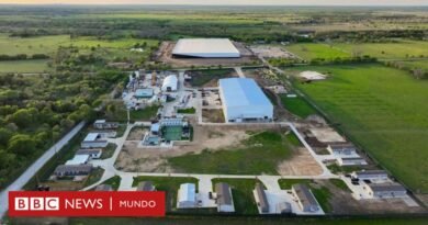 Bastrop, el pequeño pueblo rural de Texas convertido en el nuevo centro del imperio tecnológico de Elon Musk en EE.UU. - BBC News Mundo